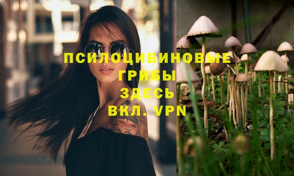 прущий лед Майский