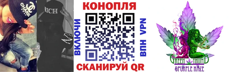 Каннабис гибрид  Чехов 